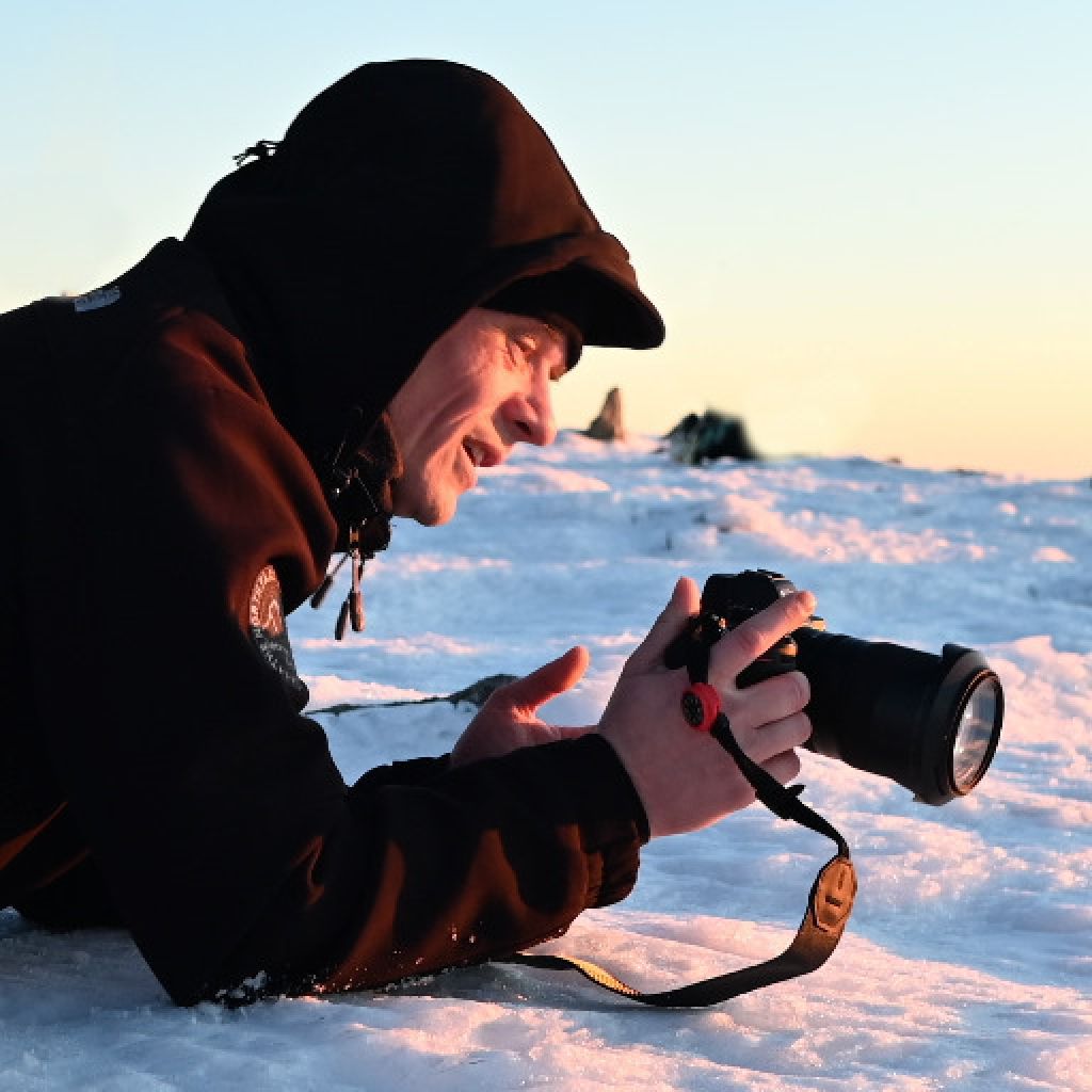 Zdjęcie profilowe whisperedframes na 7px.pl