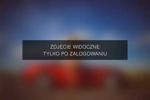 Zdjęcie