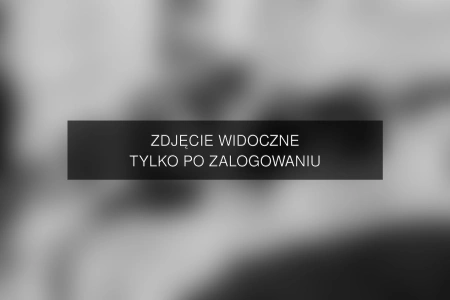 Zdjęcie