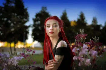 Zdjęcie