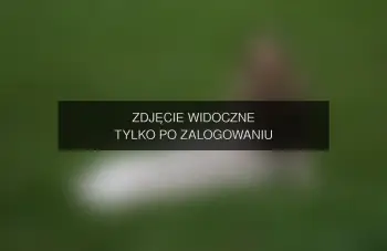 Zdjęcie