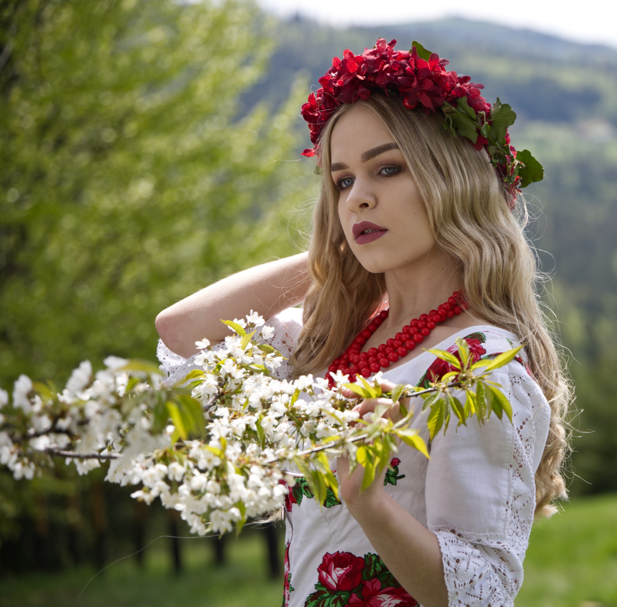 Zdjęcie