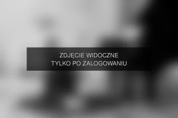 Zdjęcie