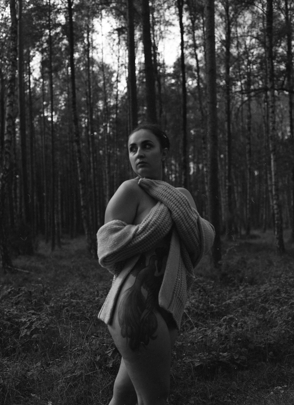 Izabela w analogu