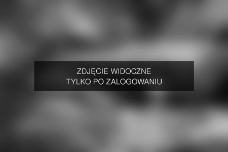 Zdjęcie