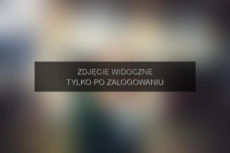 Zdjęcie