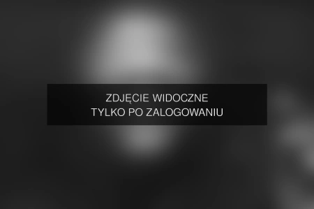 Zdjęcie