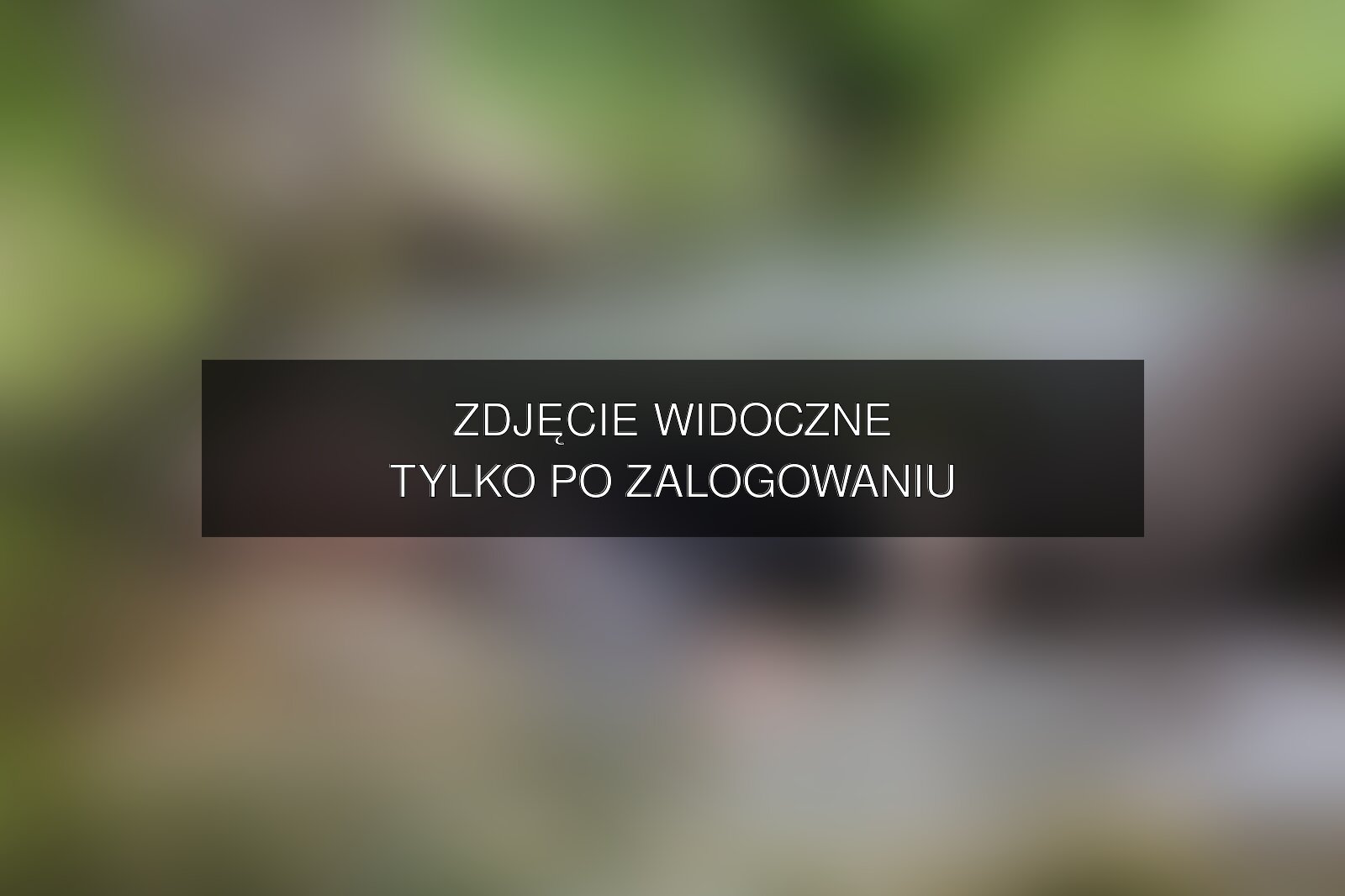 Zdjęcie