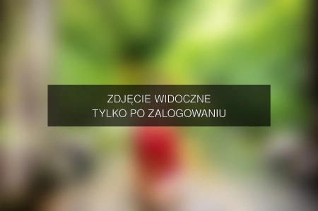 Zdjęcie dostępne po zalogowaniu – podrugiejstronielustra