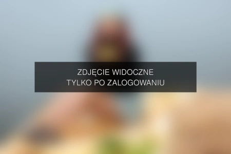 Zdjęcie dostępne po zalogowaniu – podrugiejstronielustra