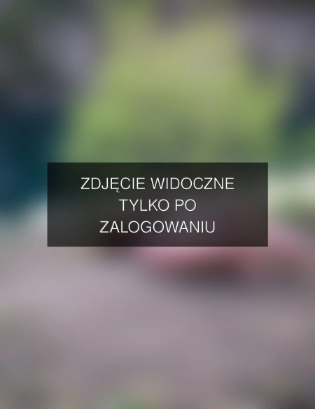 Zdjęcie dostępne po zalogowaniu – splatanekadry