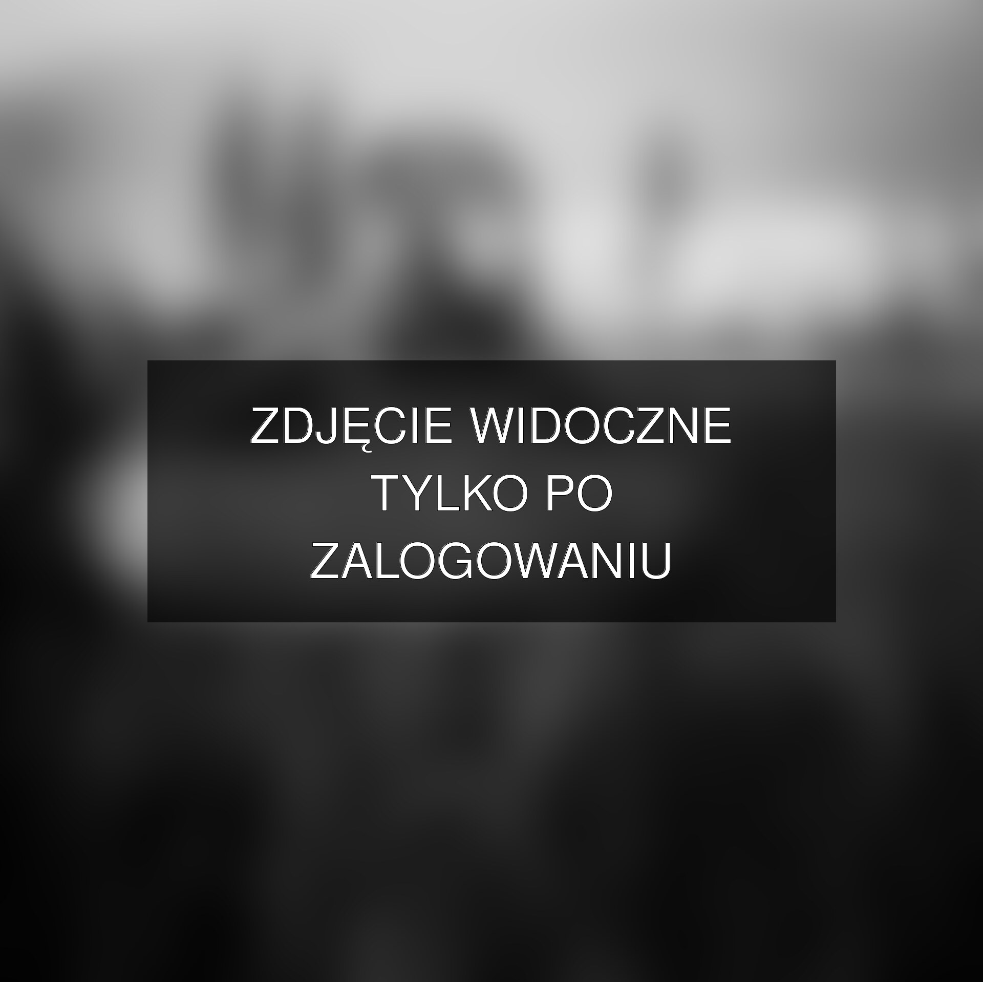 Zdjęcie dostępne po zalogowaniu – savek